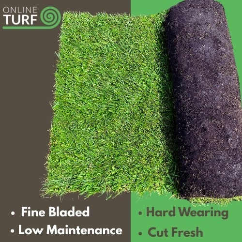 Lawn turf real seeded - real,