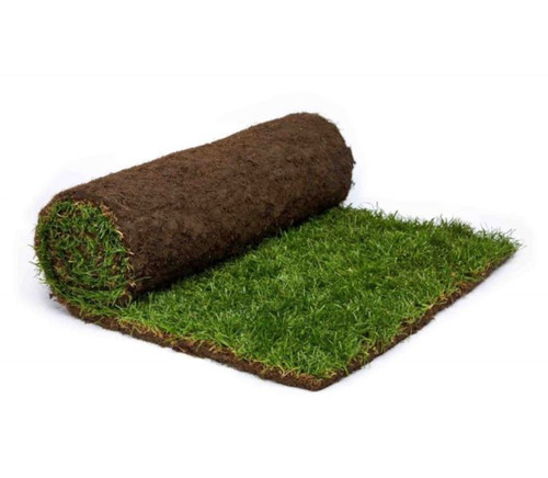 Turf premium quality - turf, local
